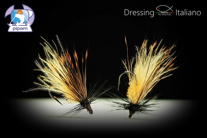 Brown sedge cdc di