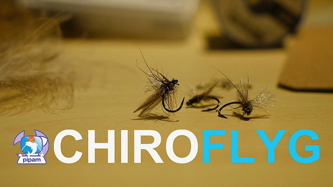 ChiroFlyg