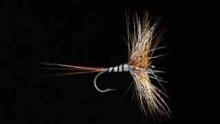 Fly Tying