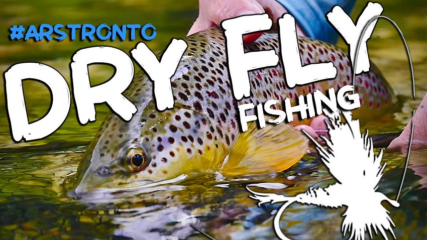 DryFlyFishing3