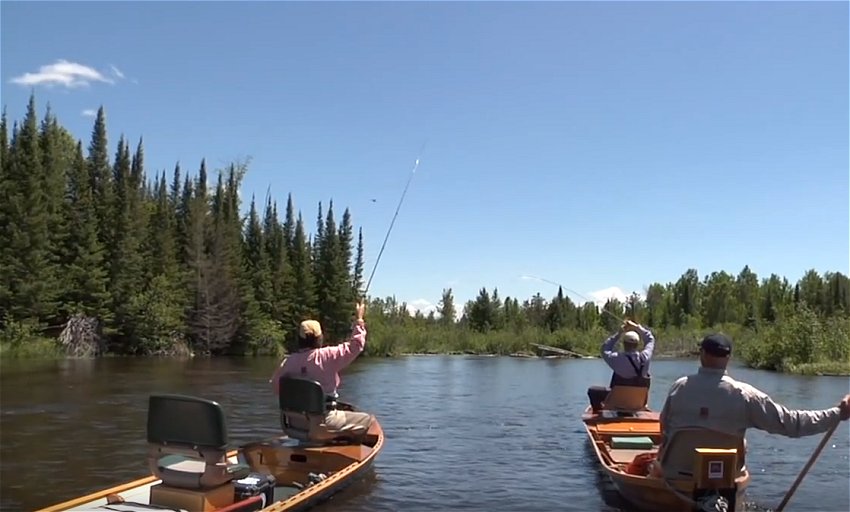 ColoradoTrout