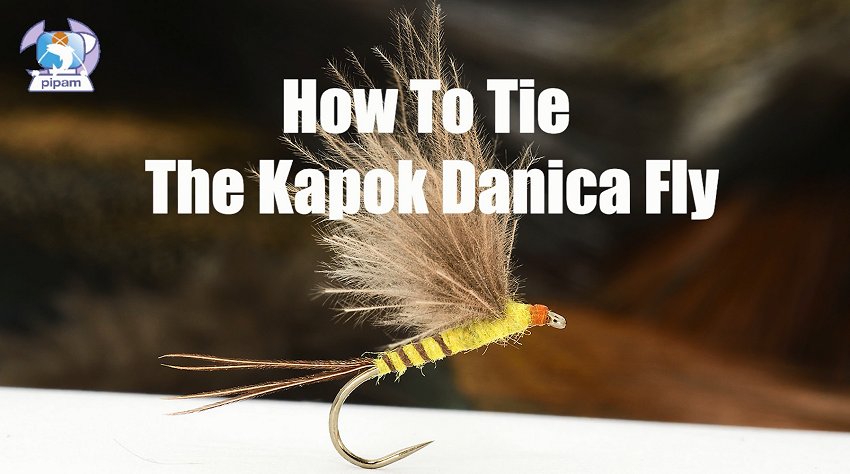 KapokMayFly