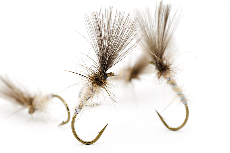 LV emerger blog Cream Special Emerger