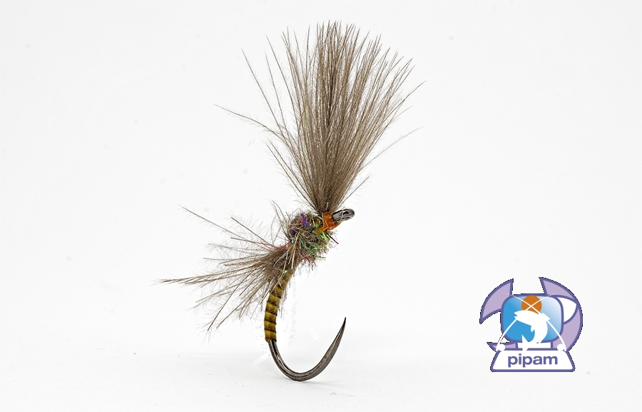 LV emerger blog