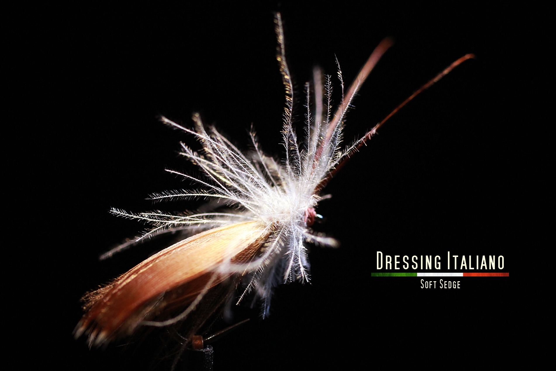 SOFTSEDGE