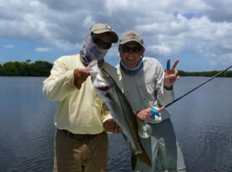 Filmato Tarpon Everglades 