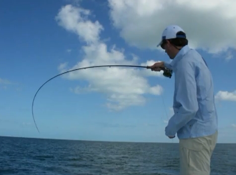 Filmato Tarpon Everglades