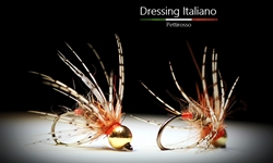 ninfa pettirosso dressing italiano