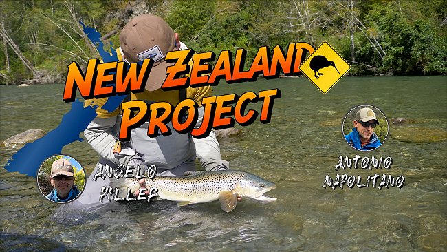 nz teaser11