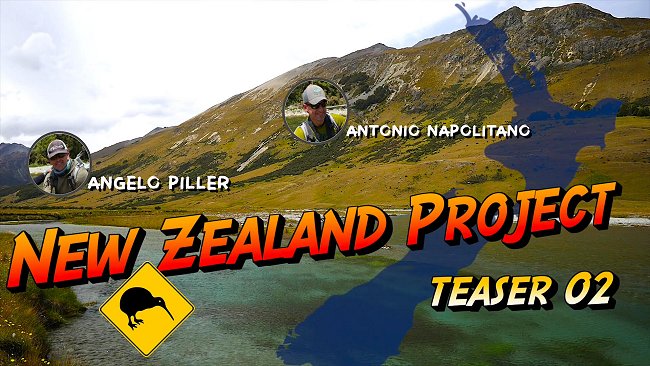 nz teaser2