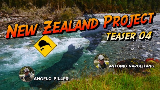 nz teaser3