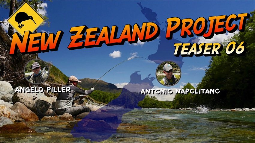 nz teaser6