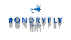 ondryfly2