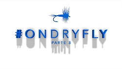 ondryfly3