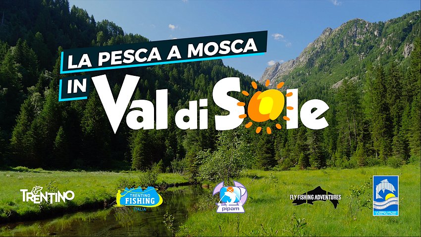 valdisole