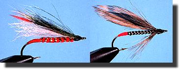 Little Rainbow Trout Streamer and Dace