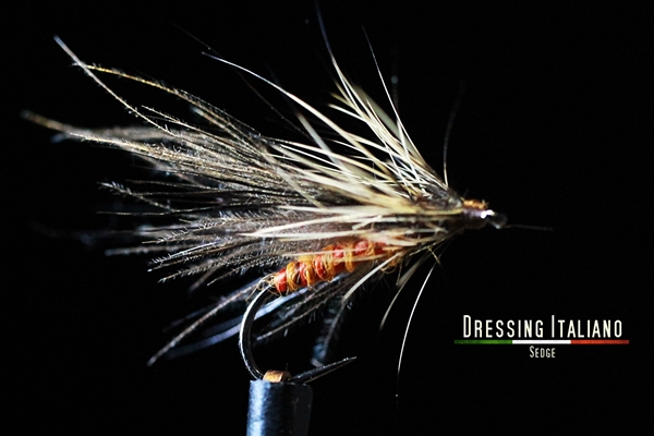 Sedge14