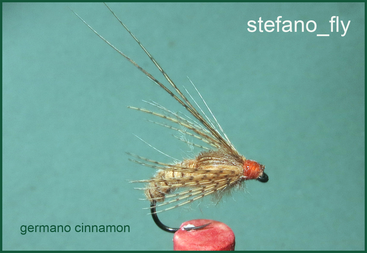 2VS Stefano fly