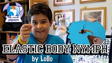 ElasticBodyNymph