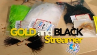 Goldandblack Streamer