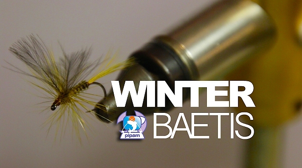 WinterBaetis