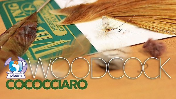 woodcockCoccociaro