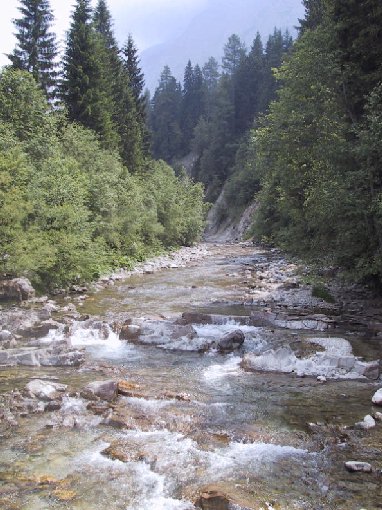 Nell’alto Piave a Sappada, la Chernobyl Ant popola gli incubi delle fario.