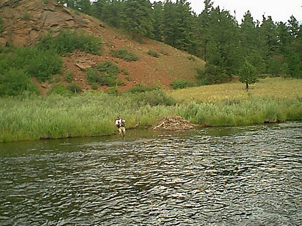 South Platte – Mirko's  hook-up.