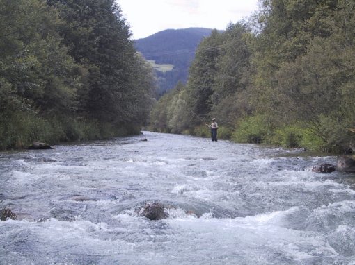 Piccola Drava: parte alta.