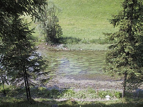 Il torrente a circa 1km dal lago.