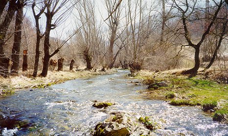 Una visuale del torrente.