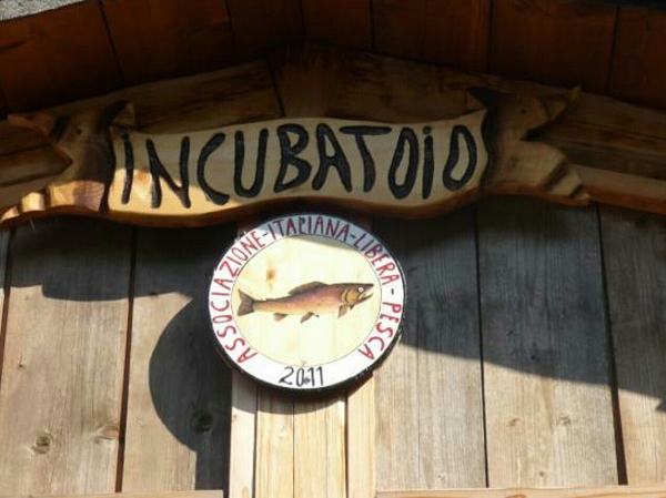 Incuatoio