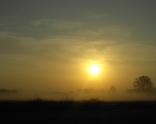 sole_e_nebbia011280x1024.jpg